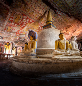 CS Lanka Tours