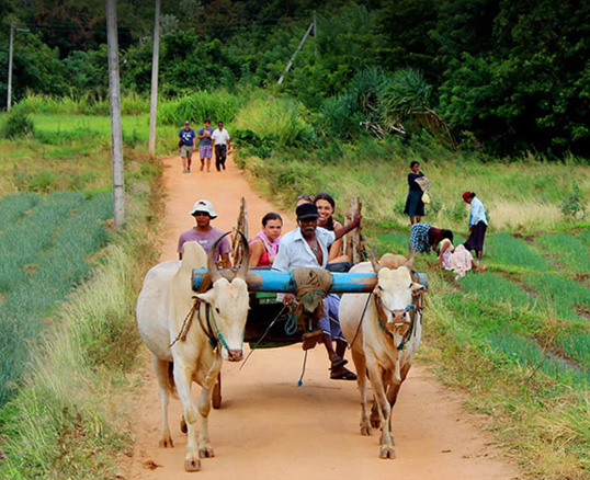 CS Lanka